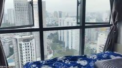 Jalan Kemaman (D12), Condominium #531089201